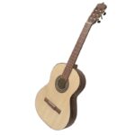 گیتار کلاسیک پارسی مدل parsi P 70
