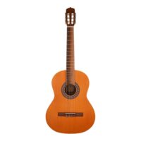 گیتار کلاسیک پارسی parsi m5