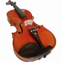 ویولن استیودنت چینی  student violon 4/4