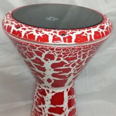 تمپو باس متوسط پژواک رنگی با کاور(نوجوان)