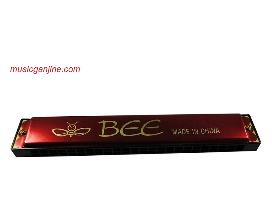 ساز دهنی دیاتونیک 24 Harmonica BEE - Image 5