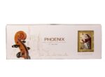 ویولن فونیکس مدل phoenix VP101 E 2/4 - Image 3